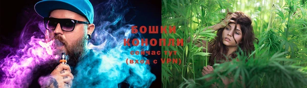 гидропоника Балабаново