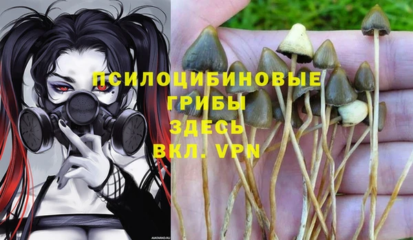альфа пвп Баксан