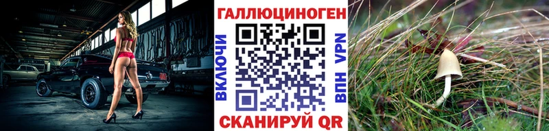 гидра рабочий сайт  Аткарск  Псилоцибиновые грибы Magic Shrooms 