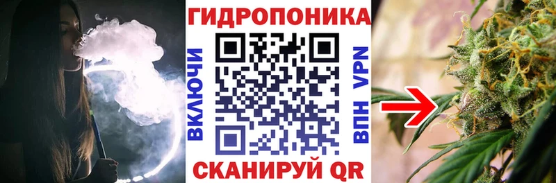 Каннабис OG Kush  Аткарск 